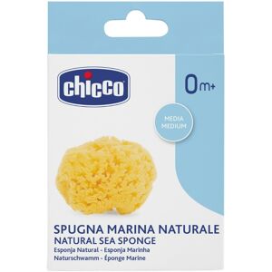 Chicco Spugna Marina Media Igiene Sicura