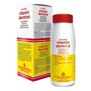 Ist.ganassini spa Vitamindermina Polvere 100 G