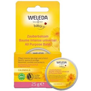 Weleda Balsamo Multiuso Bambini Pelle Secca E Labbra Screpolate 25g