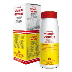 Ist.Ganassini Spa Vitamindermina Polvere - Trattamento Assorbente e Protettivo 100g - Soluzione Istantanea per Sudorazione e Protezione Cutanea