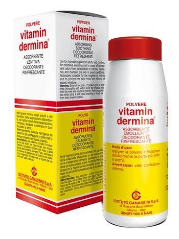 Ist.Ganassini Spa Vitamindermina Polvere 100 G