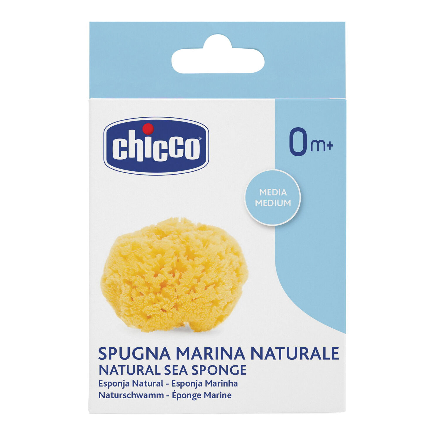 Chicco Ch spugna marina media