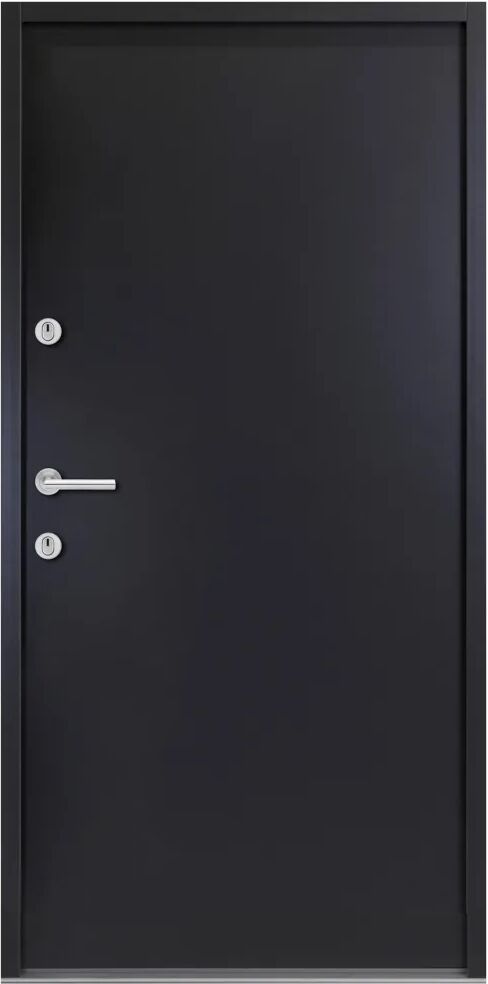 vidaXL Porte d'entrée Aluminium Anthracite 100x200 cm