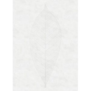 Komar Vliestapete »Decent Leaf«, 200x280 cm (Breite x Höhe), Vliestapete, 100... weiss/grau  B/L: 200 m x 280 m