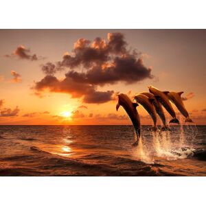 Papermoon Fototapete »Sunset Jumping Dolphins« mehrfarbig  B/L: 2,5 m x 1,86 m