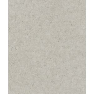 Rasch Vliestapete »Concrete«, Strukturmuster hellgrau  B/L: 53 m x 10,05 m