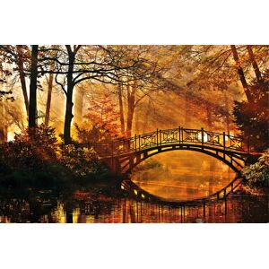 Papermoon Fototapete »Misty Park Bridge« mehrfarbig  B/L: 2 m x 1,49 m