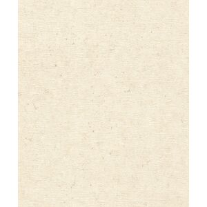 Rasch Vliestapete »Concrete«, Strukturmuster hellbeige  B/L: 53 m x 10,05 m