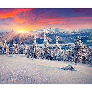 Papermoon Fototapete »ALPEN-WINTER GEBIRGE XXL« bunt  B/L: 5,00 m x 2,80 m