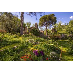 Papermoon Fototapete »Garten« bunt  B/L: 2,50 m x 1,86 m