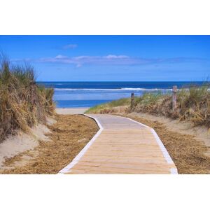 Papermoon Fototapete »Langeoog Dunes« mehrfarbig  B/L: 2 m x 1,49 m