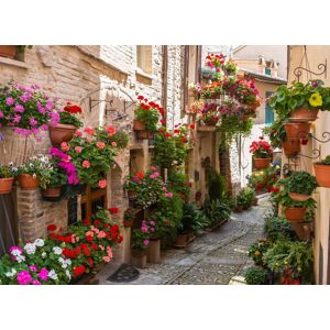 Papermoon Fototapete »Flower Alley in Spello« mehrfarbig  B/L: 3 m x 2,23 m