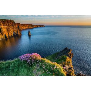 Papermoon Fototapete »MOHER IRLAND-STRAND KLIPPEN KÜSTE BLUMEN MEER GEBIRGE« bunt  B/L: 2,00 m x 1,49 m