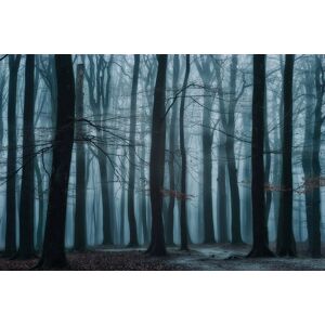 Papermoon Fototapete »Photo-Art ELLEN BORGGREVE, WIR ALLE« bunt  B/L: 2,00 m x 1,49 m