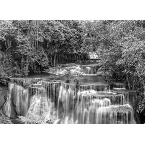 Papermoon Fototapete »Wasserfall im Wald Schwarz & Weiss« schwarz/weiss  B/L: 3,00 m x 2,23 m