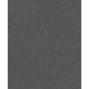 Rasch Vliestapete »Concrete«, Strukturmuster schwarz/schwarz  B/L: 53 m x 10,05 m