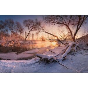 Papermoon Fototapete »Schneelandschaft« bunt  B/L: 4,50 m x 2,80 m