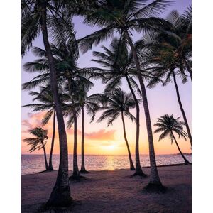 Komar Vliestapete »Palmtrees on Beach«, 200x250 cm (Breite x Höhe),... bunt  B/L: 200 m x 250 m