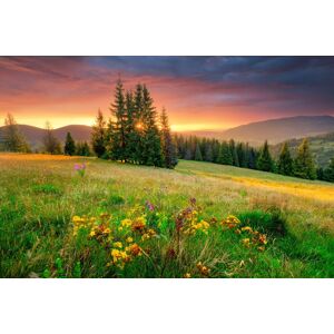 Papermoon Fototapete »BLUMEN-WIESE-GEBIRGE NATUR NEBEL GRÜN SONNE BERG HIMMEL« bunt  B/L: 2,00 m x 1,49 m