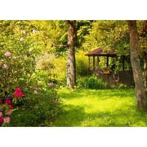 Papermoon Fototapete »Magic Garden« mehrfarbig  B/L: 2,5 m x 1,86 m