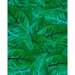 Komar Vliestapete »Jungle Leaves«, 200x250 cm (Breite x Höhe), Vliestapete,... grün  B/L: 200 m x 250 m