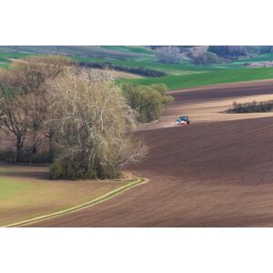 Papermoon Fototapete »Felder« bunt  B/L: 4,50 m x 2,80 m