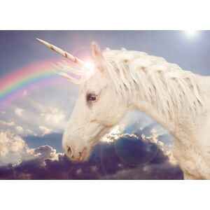 Papermoon Fototapete »Unicorn Rainbow« mehrfarbig  B/L: 2 m x 1,49 m