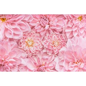 Papermoon Fototapete »Blumen« bunt  B/L: 3,50 m x 2,60 m