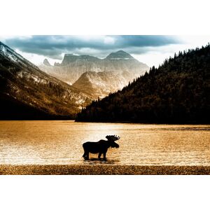 Papermoon Fototapete »Moose in Waterton Lake« mehrfarbig  B/L: 3,5 m x 2,6 m