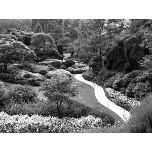 Papermoon Fototapete »Garten Schwarz & Weiss« schwarz/weiss  B/L: 4,50 m x 2,80 m
