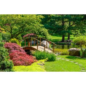 Papermoon Fototapete »Japanischer Garten« mehrfarbig  B/L: 2 m x 1,49 m