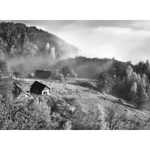 Papermoon Fototapete »Landschaft schwarz & weiss« schwarz/weiss  B/L: 2,50 m x 1,86 m