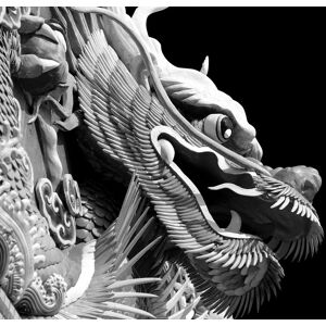 Papermoon Fototapete »Chinesischer Drache Schwarz & Weiss« schwarz/weiss  B/L: 4,50 m x 2,80 m