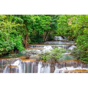 Papermoon Fototapete »Fluss im Wald« bunt  B/L: 2,00 m x 1,49 m