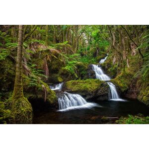 Papermoon Fototapete »WASSERFALL-MAGISCHER WALD BÄUME FLUSS SEE STEINE BLUMEN« bunt  B/L: 4,00 m x 2,60 m