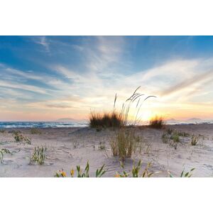 Papermoon Fototapete »Strand« bunt  B/L: 5,00 m x 2,80 m