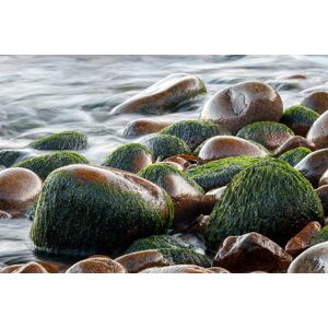 Papermoon Fototapete »Steine im Wasser« bunt  B/L: 4,50 m x 2,80 m
