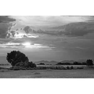 Papermoon Fototapete »Landschaft Schwarz & Weiss« schwarz/weiss  B/L: 2,50 m x 1,86 m