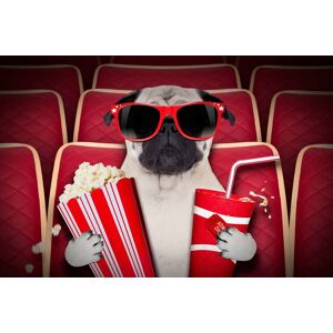 Papermoon Fototapete »Hund im Kino« bunt  B/L: 2,00 m x 1,49 m