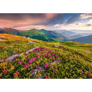 Papermoon Fototapete »BLUMEN-NATUR LANDSCHAFT BERGE GEBIRGE ALPEN LAVENDEL« bunt  B/L: 5,00 m x 2,80 m