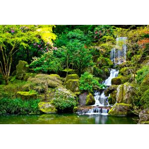 Papermoon Fototapete »Garden Pond« mehrfarbig  B/L: 5 m x 2,8 m