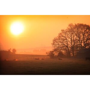 Papermoon Fototapete »Sonniger nebliger Sonnenaufgang« bunt  B/L: 4,5 m x 2,8 m