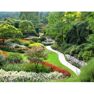 Papermoon Fototapete »Butchart Gardens« mehrfarbig  B/L: 2,5 m x 1,86 m