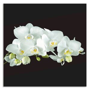 Artland Küchenrückwand »Weisse Orchidee auf schwarzem Hintergrund«, (1 tlg.),... weiss Größe