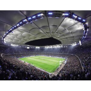 Wall-Art Vliestapete »Hamburger SV im Stadion bei Nacht«, made in Berlin bunt Größe B/L: 3,36 m x 2,6 m