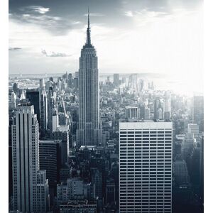 Wall-Art Vliestapete »The Empire State Building«, made in Berlin grau Größe B/L: 2,4 m x 2,6 m