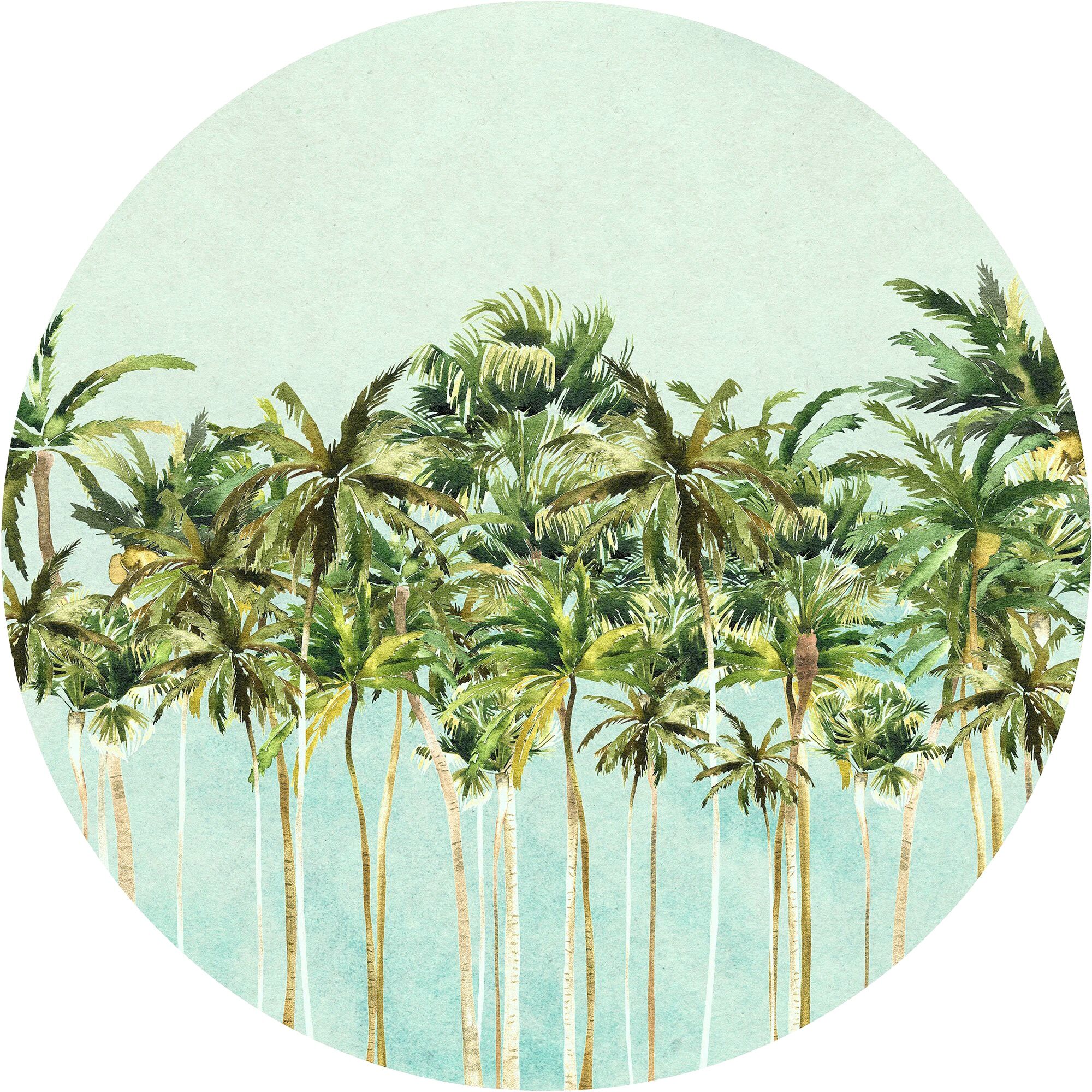 Komar Fototapete »Coconut Trees«, Comic-botanisch, 125 x 125 cm grün