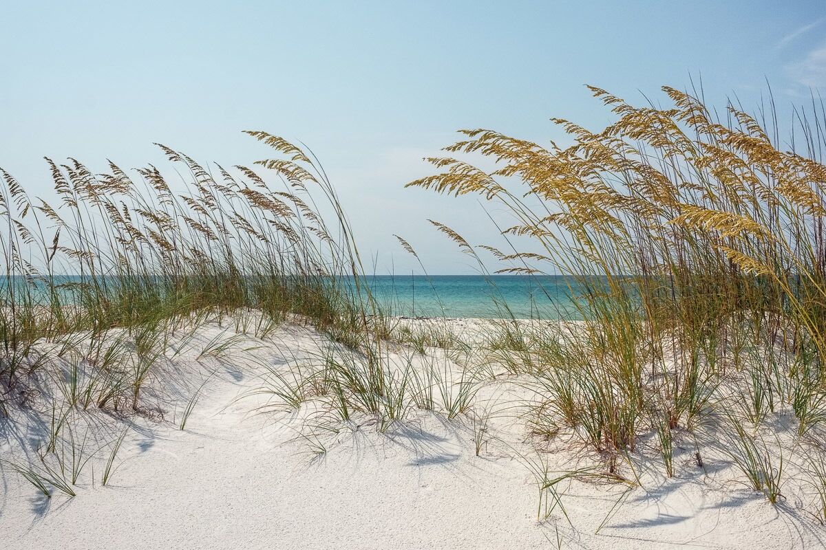 Papermoon Fototapete »Ocean Beach Dunes«, Vliestapete, hochwertiger Digitaldruck bunt