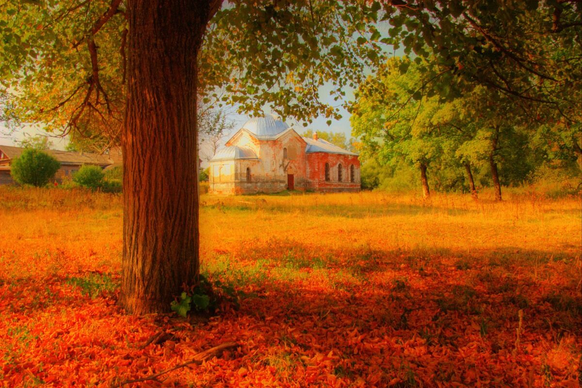 Papermoon Fototapete »Russische Herbstlandschaft«, Vliestapete, hochwertiger... bunt