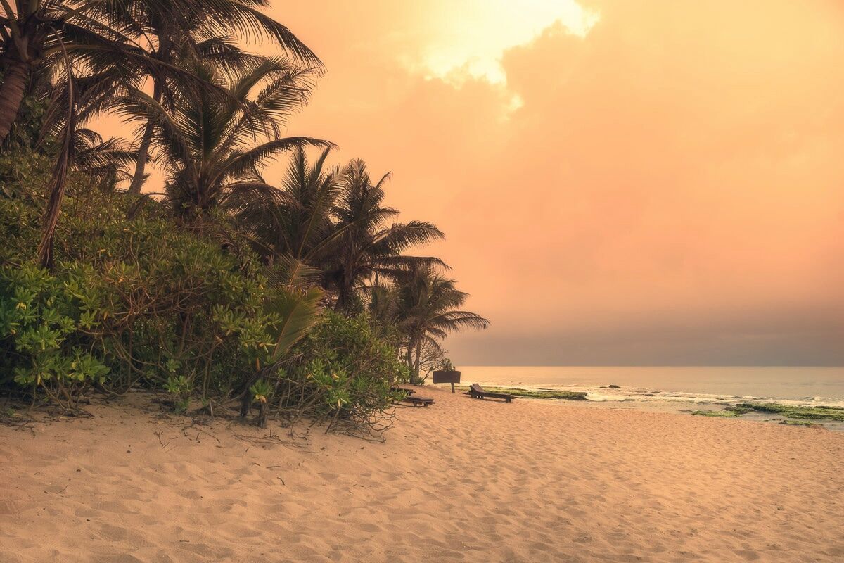 Papermoon Fototapete »Sri Lanka Tangalle Strand«, Vliestapete, hochwertiger... bunt